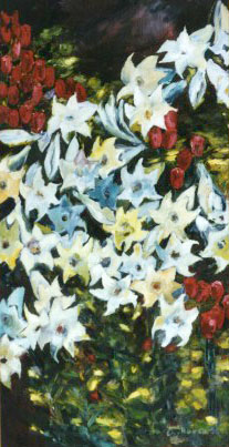 Lilien & Rosen